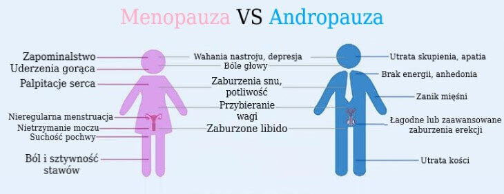 Porównanie menopauzy do andropauzy